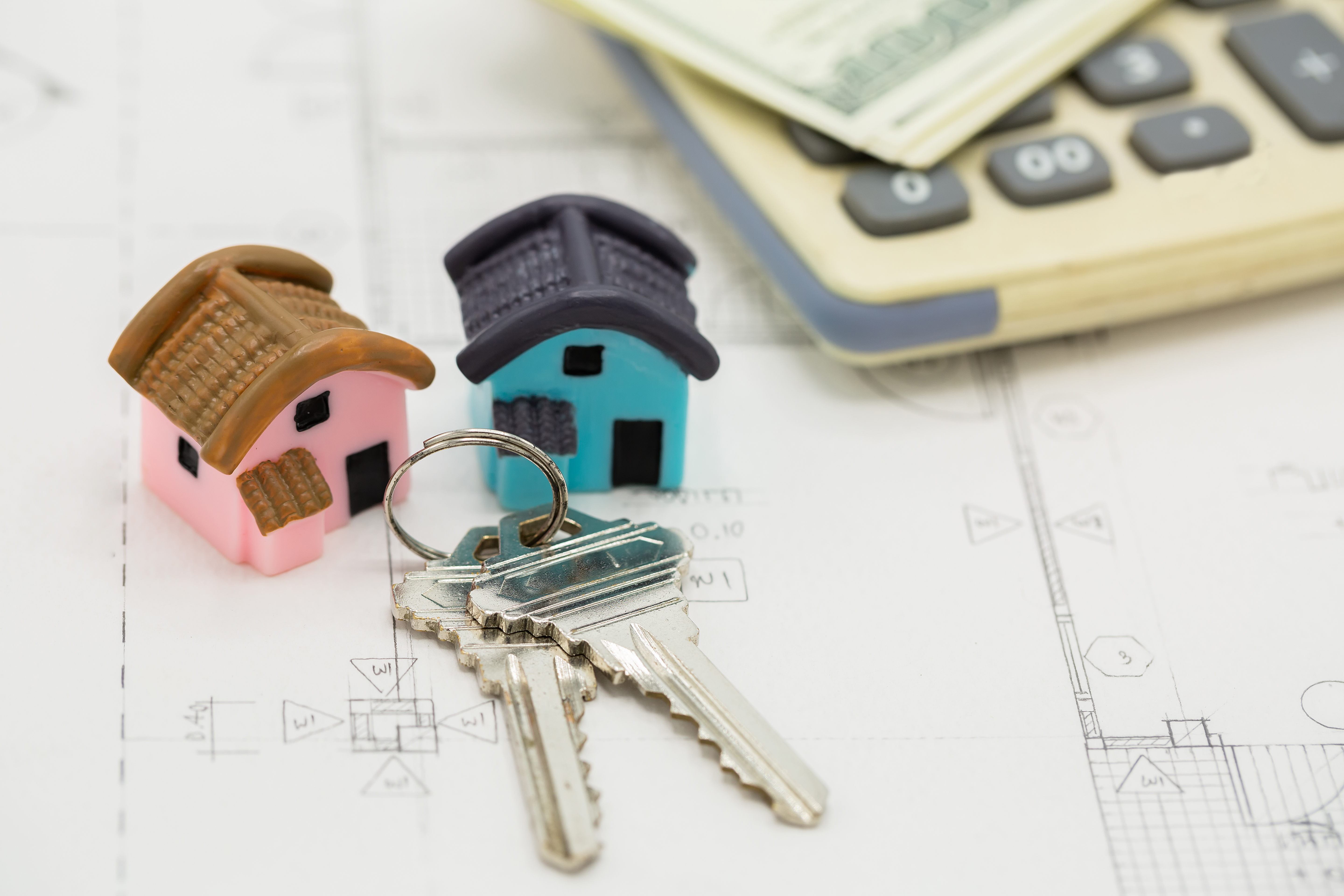Smart Investments: Should You Buy or Rent in 2025?